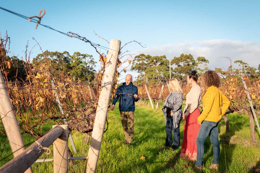Hidden Gems Margaret River: Authentic Wine & Farm Experience - Lunch at an olive farm: oils and olive-based products made on-site