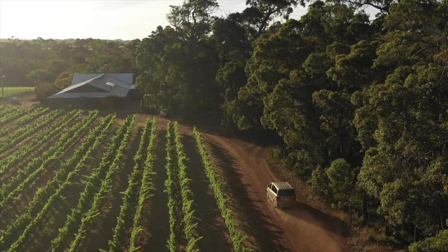 Hidden Gems Margaret River: Authentic Wine & Farm Experience - Price and value: is $145 per person worth it?