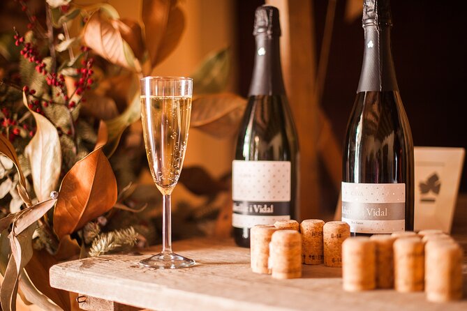 High-End Vineyard Escape: Cava, Tapas & Wine | Private Tour - How the tasting portion works (and how to pace it)