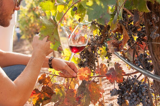 High-End Vineyard Escape: Cava, Tapas & Wine | Private Tour - Getting out of Barcelona: pickup, comfort, and how long it really feels