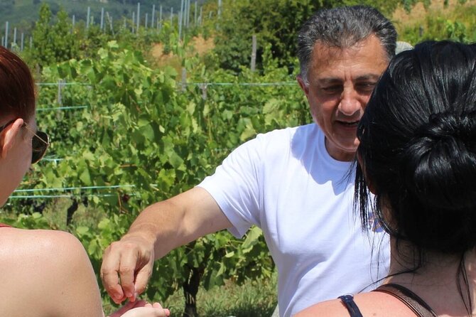 Honest Wines- Wine tasting at Cantina Biagiotti - Wine Tasting With Local Food Pairings: Why This Tour Isn’t Just About Drinking