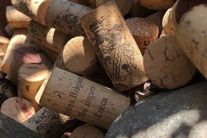 Honest Wines- Wine tasting at Cantina Biagiotti - How Long Is 2 to 3 Hours, and What Timing Looks Like?