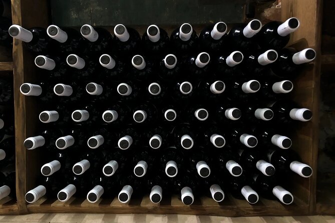 Honest Wines- Wine tasting at Cantina Biagiotti - Price and Value: Does $54.31 Make Sense?