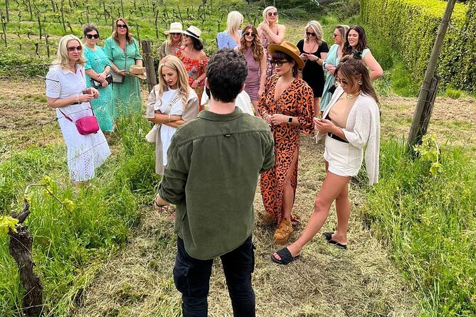 Honest Wines- Wine tasting at Cantina Biagiotti - Meet Francesco Biagiotti and Expect a Relaxed, Question-Friendly Tour