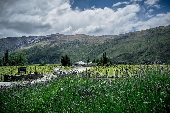 Hop on Hop off Wine Tours Queenstown - How the hop-on hop-off timing really works