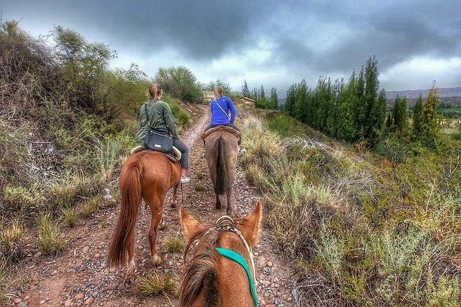 Horseback ride through vineyards followed by gourmet lunch - Key highlights to know before you go