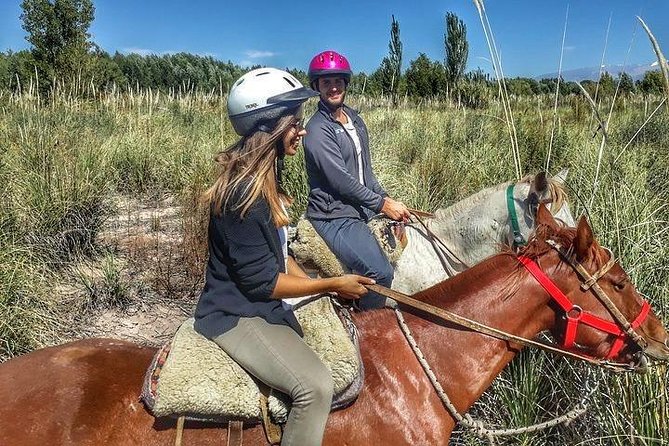 Horseback ride through vineyards followed by gourmet lunch - Vineyard horse ride in southern Maipú, then lunch at Club Tapiz