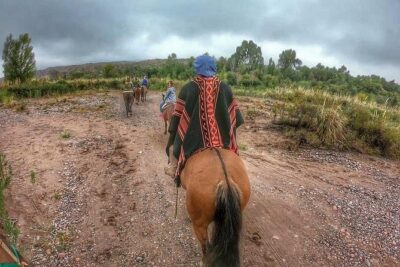 Horseback ride through vineyards followed by gourmet lunch - Timing, transfers, and where you’ll actually be