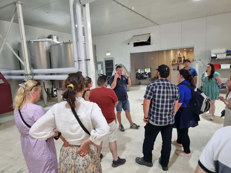 Hunter Valley: Wine, Gin, Cheese and Chocolate Tour - First vineyard walk-through and that first 1-hour wine tasting