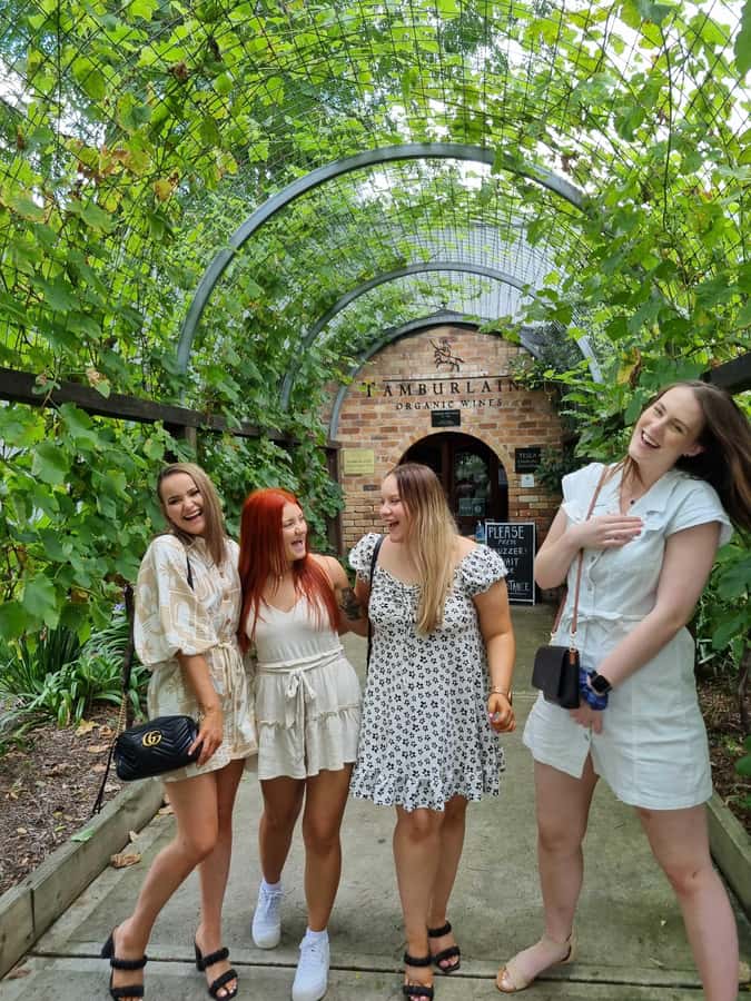 Hunter Valley: Wine, Gin, Cheese and Chocolate Tour - Cheese and wine pairing plus chocolate: where the flavors click
