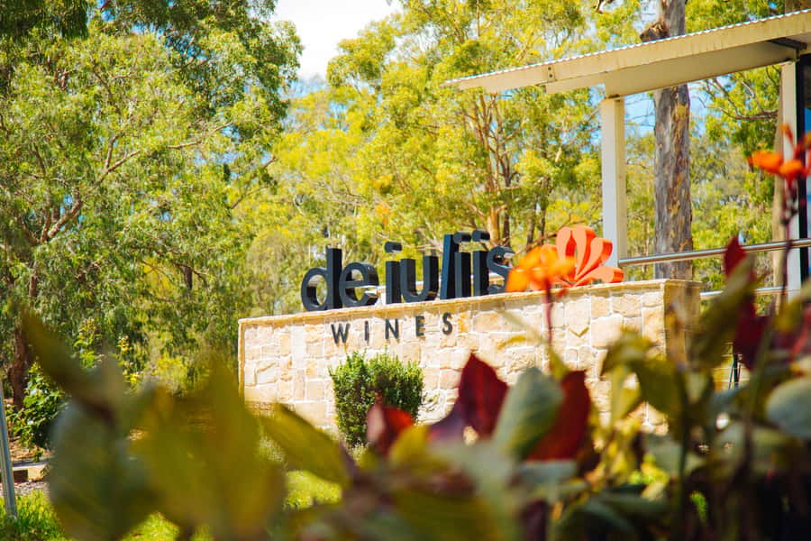 Hunter Valley: Wine, Spirits, and Cheese Tour with Lunch - Price, Value, and Who This Tour Fits Best