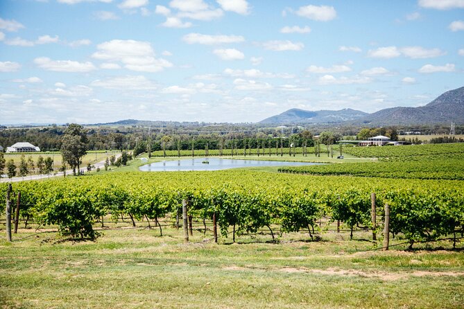 Hunter Valley Wine Tasting Tour from Sydney - Your Full-Day Tasting Game Plan (Five Stops, One Coherent Flow)