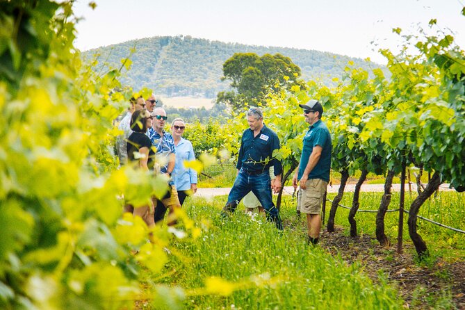 Hunter Valley Wine Tasting Tour from Sydney - Price and Value: Why $157.08 Can Make Sense for a Full Day