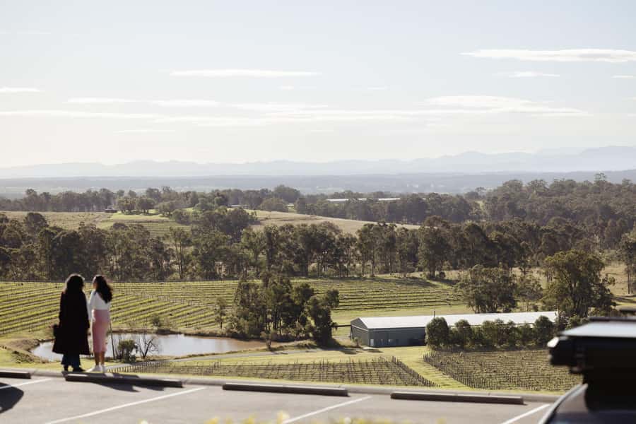 Hunter Valley: Wine Tour with 2-Course Lunch, Choc & Cheese - Binnorie Dairy cheese tasting: the final flavor finish