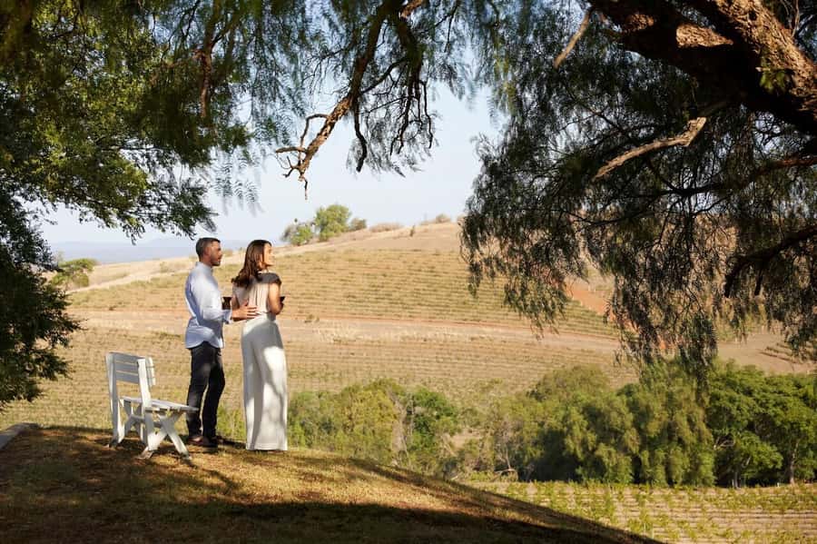 Hunter Valley: Wine Tour with 3 Tastings and Garden Lunch - Cypress Lakes lunch and Hunter Valley Village browsing time