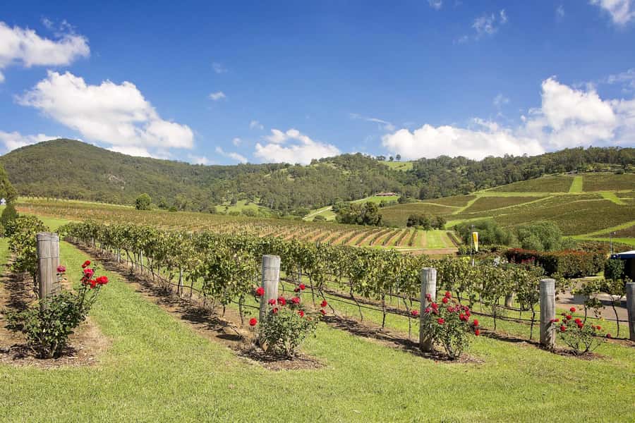 Hunter Valley: Wine Tour with 3 Tastings and Garden Lunch - Hunter Valley Cheese Experience: a lesson you can taste