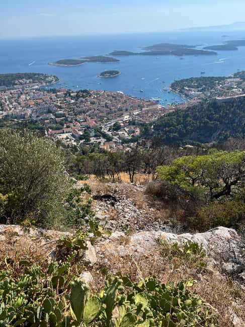 Hvar: Hvar Wine Tasting Experience - Why Hvar wine-and-oil tasting feels different on the island