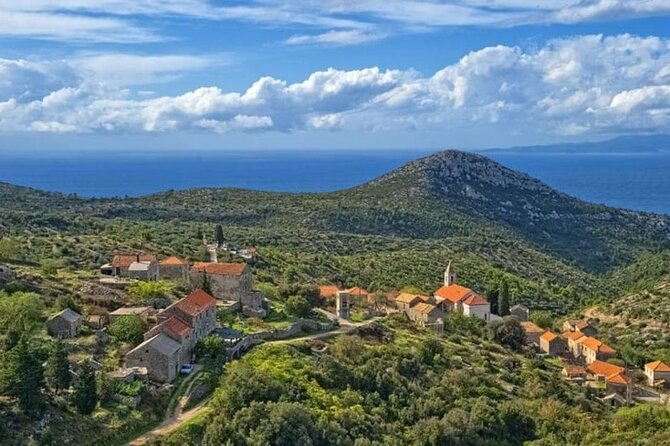 Hvar: Island tour with Wine and Olive Oil Tasting - A 3-hour Hvar loop: fortress views to Jelsa cellar