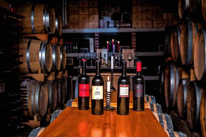 Hvar: Island tour with Wine and Olive Oil Tasting - The wine and olive oil tasting: how to enjoy it without rushing