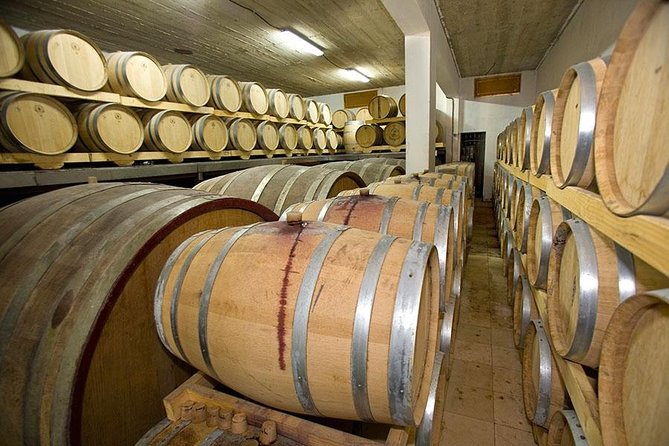 Hvar Wine tasting small group experience - Pickup and timing: 11:00 am, 4:00 pm, and a 2.5-hour reality