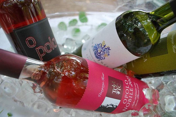 Hvar Wine tasting small group experience - Who should book this tour, and who might want a different style