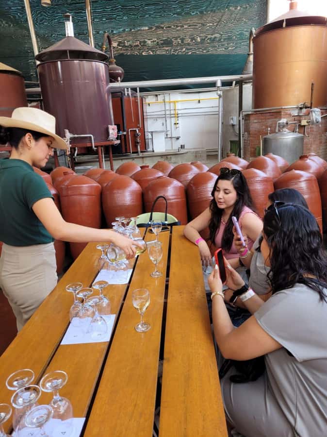 ICA: Pisco and Wine Route with tasting in 03 Wineries - Key things to know before you go