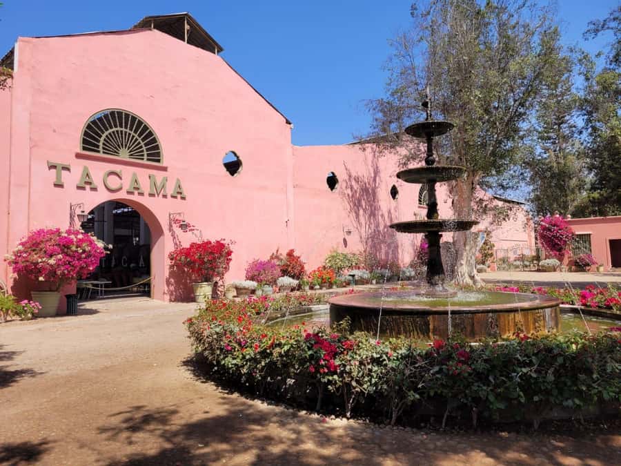 ICA: Pisco and Wine Route with tasting in 03 Wineries - The pisco distillation lesson: how to taste with confidence