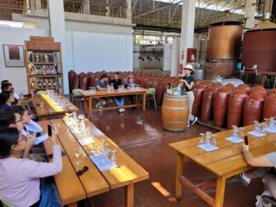 ICA: Pisco and Wine Route with tasting in 03 Wineries - Hacienda TACAMA: where the pisco story starts