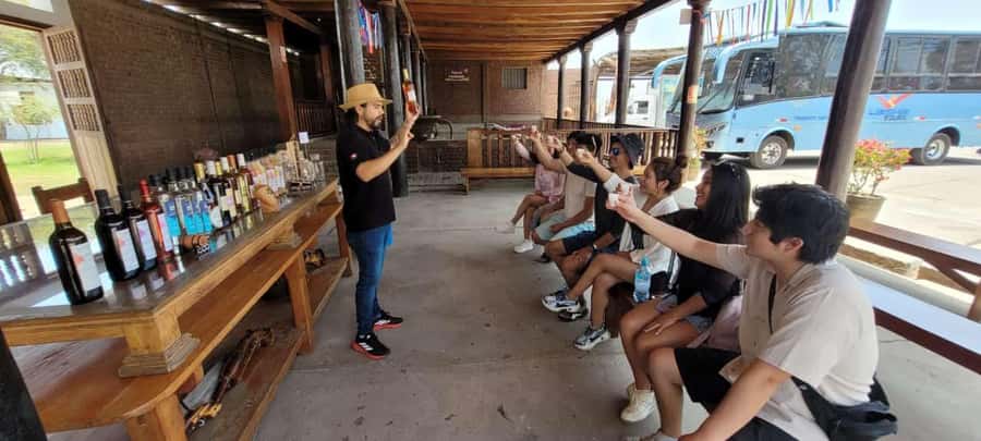 ICA: Pisco and Wine Route with tasting in 03 Wineries - Second winery tasting and the lunch pairing you’ll actually remember