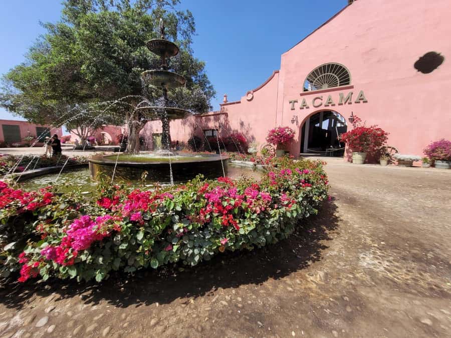 ICA: Pisco and Wine Route with tasting in 03 Wineries - How to get the most from the tastings