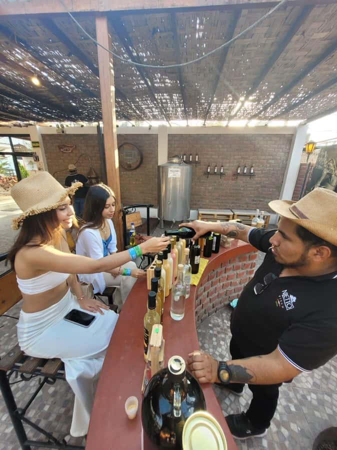 ICA: Pisco and Wine Route with tasting in 03 Wineries - Who this tour fits best in the Ica region