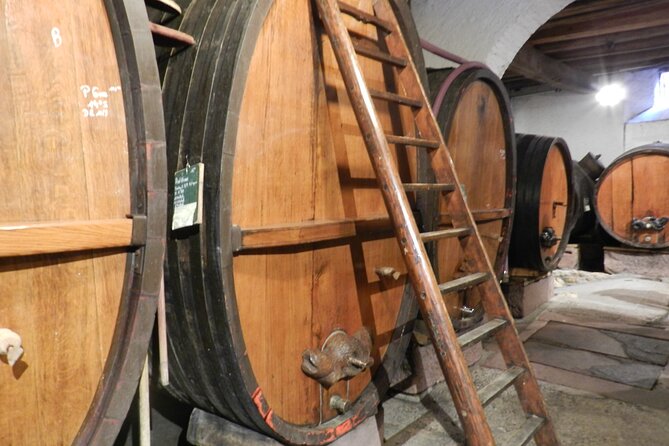 ICONICS Tour: 1/2 day on the Wine Route, visit of 2 Villages + Tasting. - The Route des Vins d’Alsace Cellar Visit: Tasting That Explains What You Taste