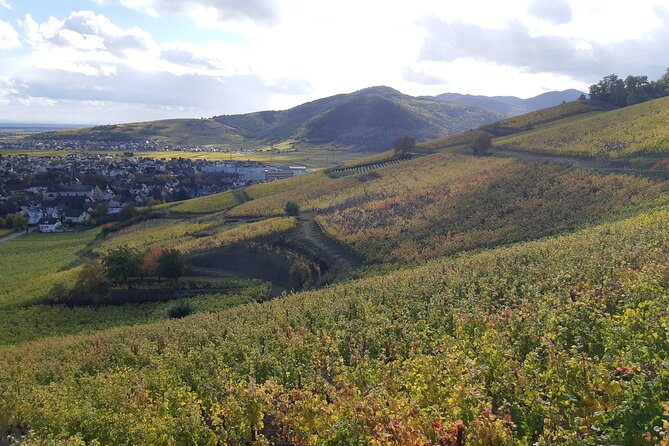 ICONICS Tour: 1/2 day on the Wine Route, visit of 2 Villages + Tasting. - Guide Anna and the Pace: Small Group, Real Questions, Clear Explanations