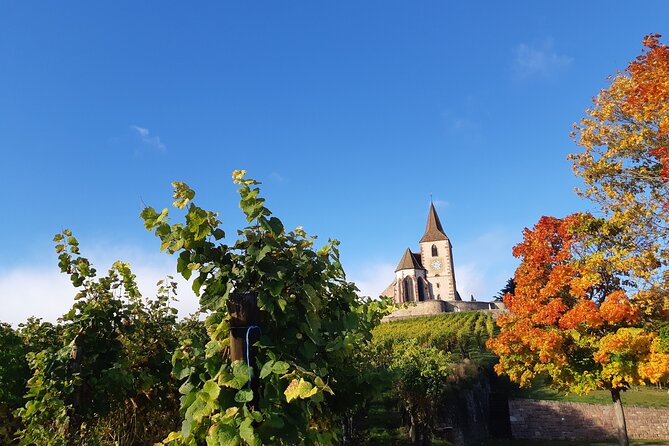 ICONICS Tour: 1/2 day on the Wine Route, visit of 2 Villages + Tasting. - Price and Value: What You Pay For at $114.93