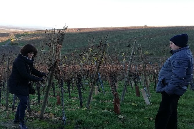 ICONICS Tour: 1/2 day on the Wine Route, visit of 2 Villages + Tasting. - Who This Alsace Safari Tour Is Best For