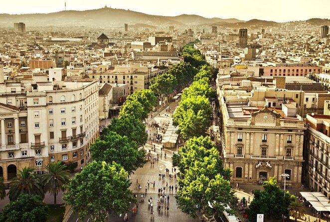 Interactive Paella & Market: Bottomless Wine & Rambla Views - Key Points You’ll Care About Before You Go
