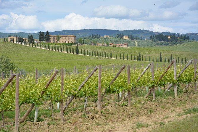 It's Wine Time! 2 wineries & farm-to-table lunch—max 8 pp - Transportation and comfort: the drive is part of it