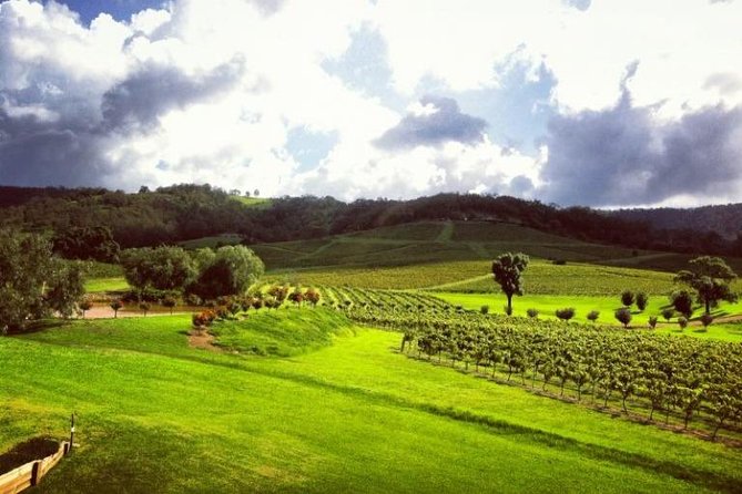 Ivanhoe Wines: Trip Advisor Premium Wine Tasting - Private Means Personal: How the Host Support Changes the Vibe