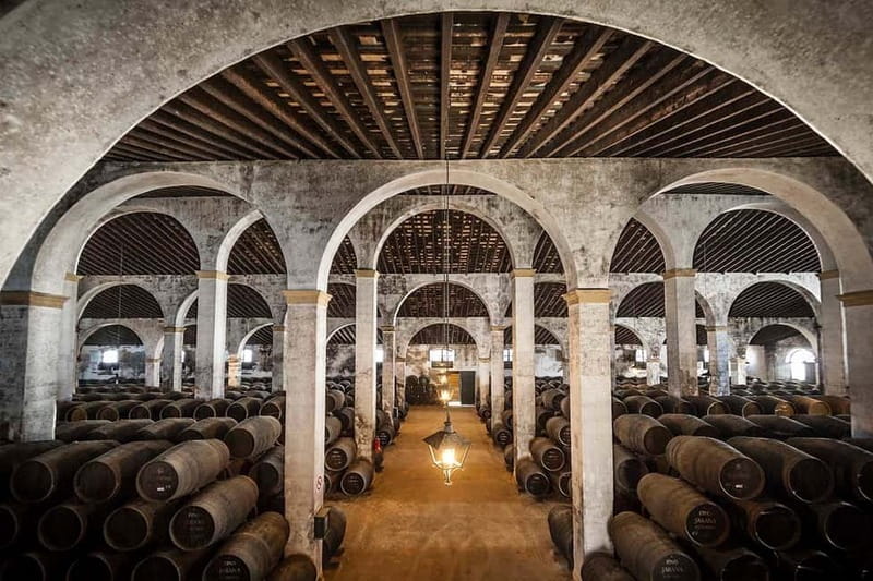 Jerez: 1.5-Hour Sherry Winery and Tasting Tour - Inside the visit flow: what happens during your guided tour