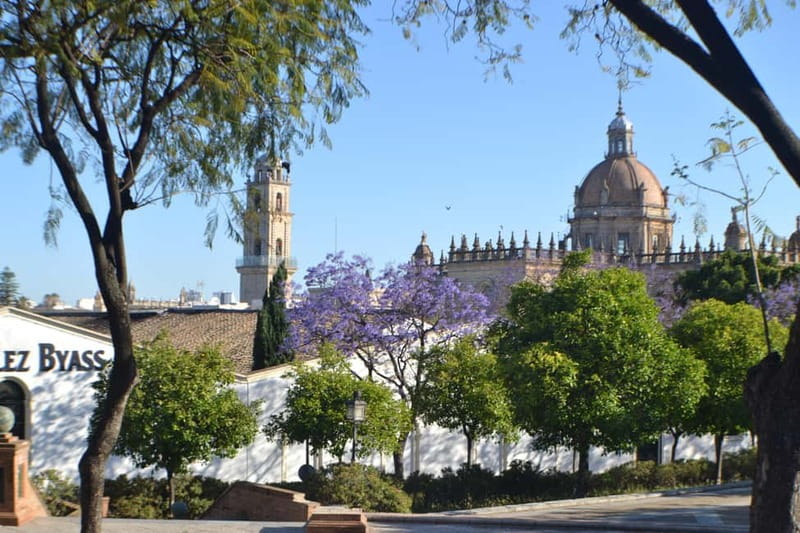 Jerez: 1.5-Hour Sherry Winery and Tasting Tour - Logistics that can make or break your day