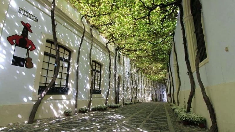 Jerez: 1.5-Hour Sherry Winery and Tasting Tour - The bodega story you’ll hear: from Tío Pepe to the 1963 cellar