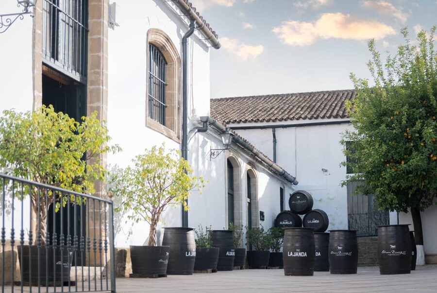 Jerez: Bodegas Álvaro Domecq Guided Tour with Wine Tasting - Key things that make this tour worth your time