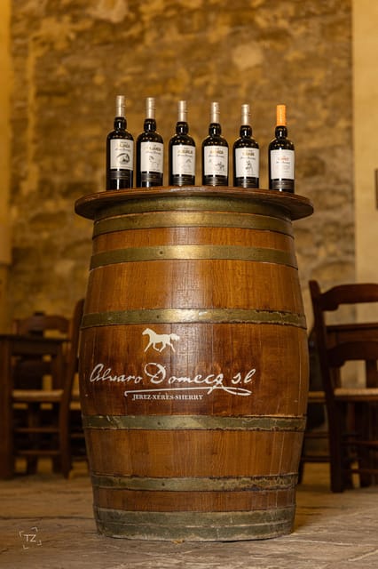 Jerez: Bodegas Álvaro Domecq Guided Tour with Wine Tasting - Oloroso cellar visit plus audiovisual storytelling