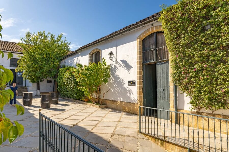Jerez: Bodegas Álvaro Domecq Guided Tour with Wine Tasting - Brandy and vinegar tastings: what to expect beyond the sherry glass
