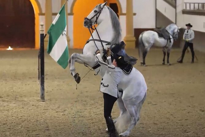 Jerez & Cadiz Winery with Tasting & Opt Horse Show from Seville - Key Highlights You’ll Actually Care About