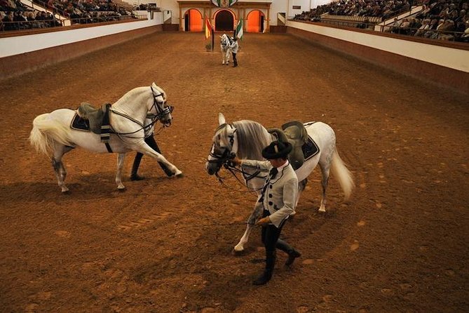 Jerez & Cadiz Winery with Tasting & Opt Horse Show from Seville - Value for the price: where $117.74 makes sense