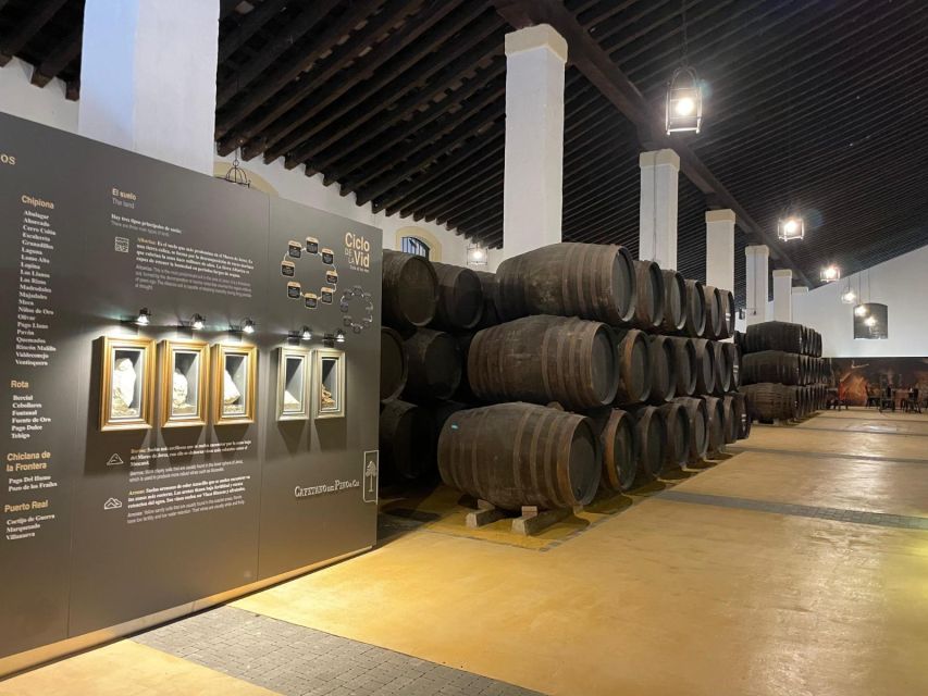 Jerez de la Frontera: Sherry Winery Tour with Tasting - The Guided Tasting of 4 Wines: What to Focus On