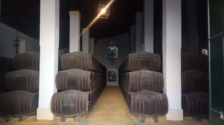 Jerez de la Frontera: Sherry Winery Tour with Tasting - Step Into an 1886 Bodega: Architecture, Labels, and Barrels