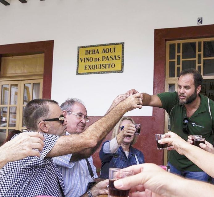 Jerez: Guided Winery Tour with Wine Tasting - Key things worth knowing before you go