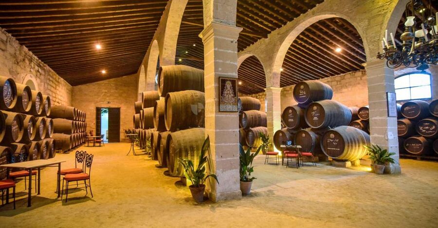 Jerez: Guided Winery Tour with Wine Tasting - Touring 138 years of winemaking: the cellar is the classroom